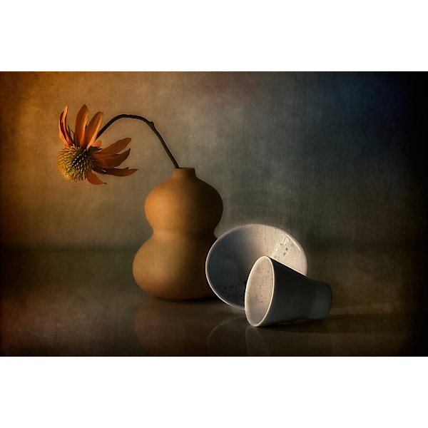 Poster MultiColor 50x70 cm