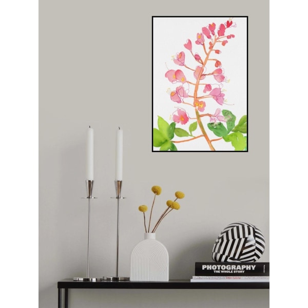 Rød hestekastanje eller Aesculus T Carnea med akvarell og blekk MultiColor 21x30 cm