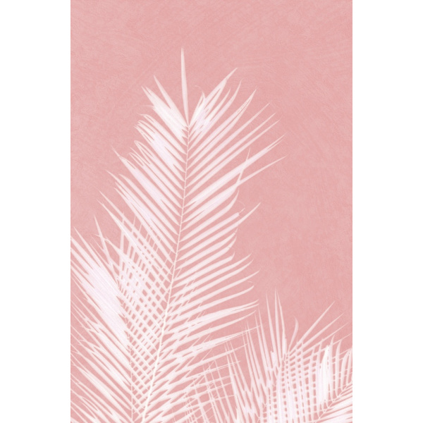 Palm Leaves On Pink Silhouette Ii MultiColor 50x70 cm