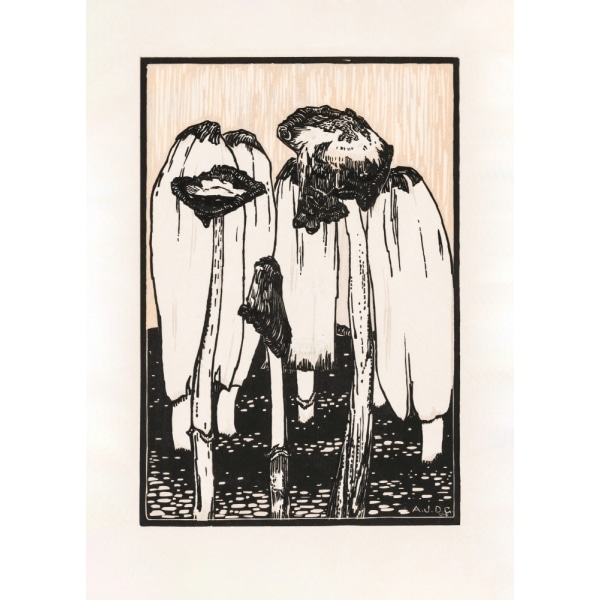 Ink Mushrooms (1915) MultiColor 50x70 cm