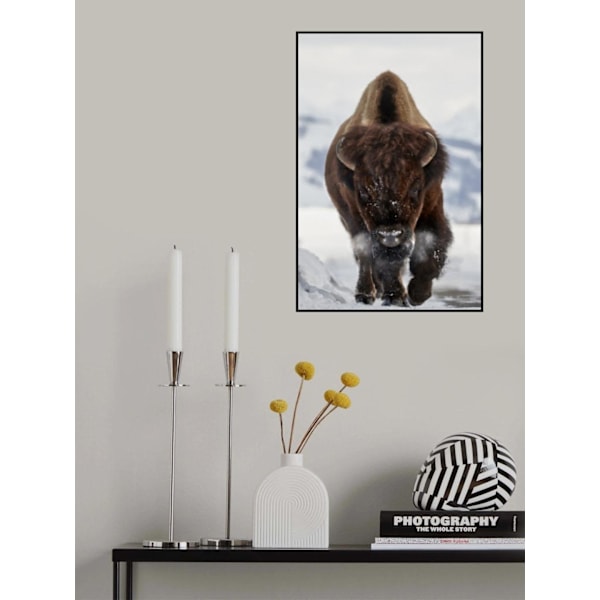Bison Incoming MultiColor 30x40 cm