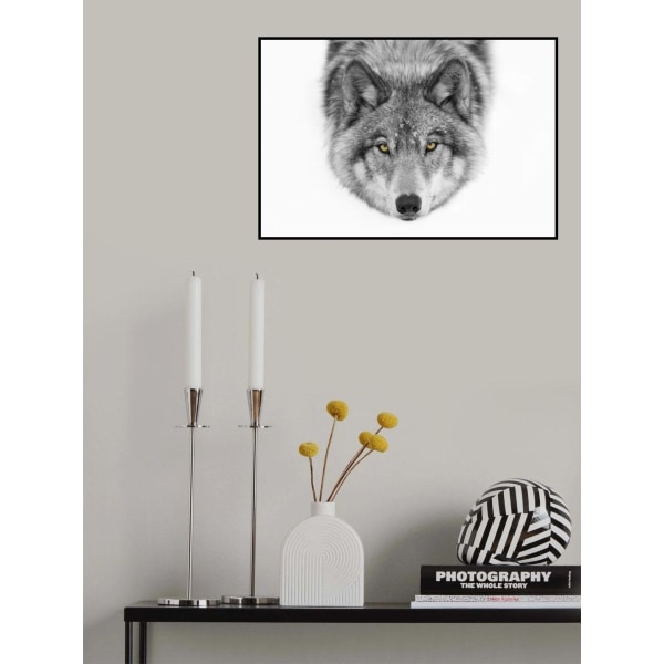 Yellow Eyes - Timber Wolf MultiColor 70x100 cm