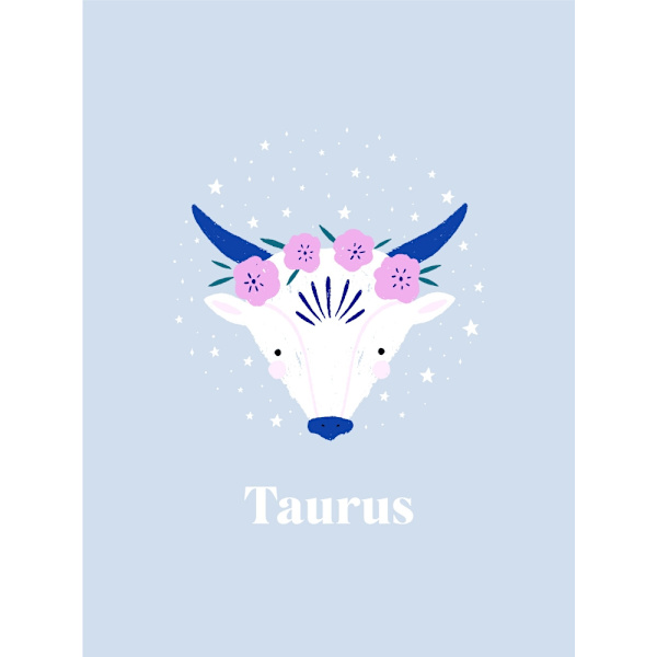 Taurus MultiColor 21x30 cm