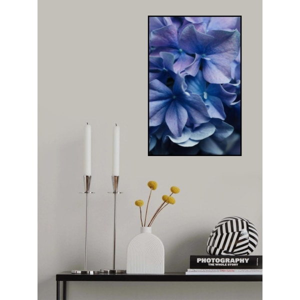 Tanssivat terälehdet - Lilja hortensia MultiColor 21x30 cm