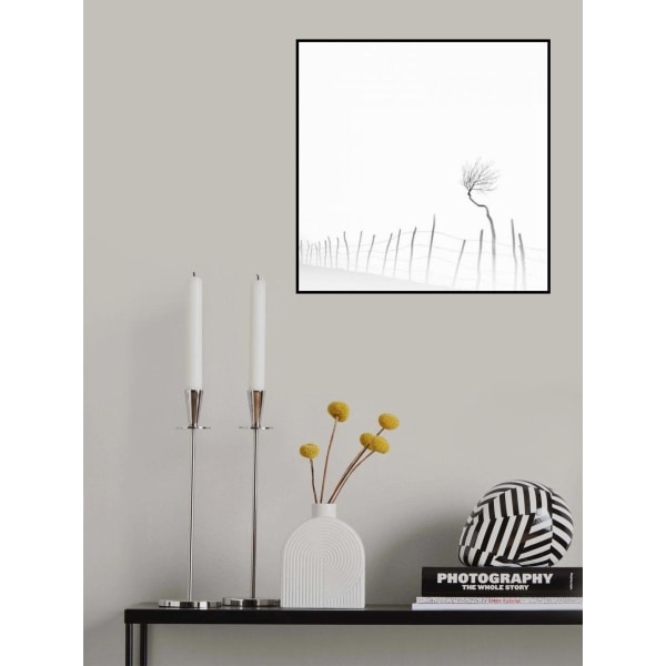 Silence MultiColor 70x100 cm