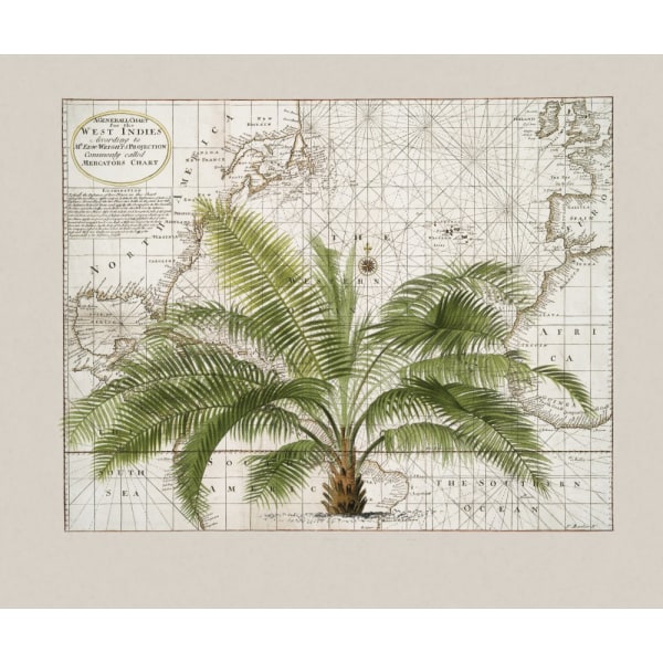 Tropical Empire No1 MultiColor 30x40 cm