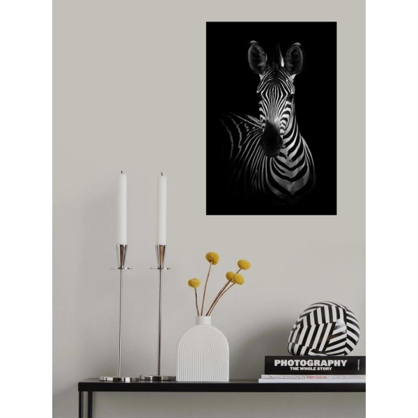 Se zebraen MultiColor 50x70 cm