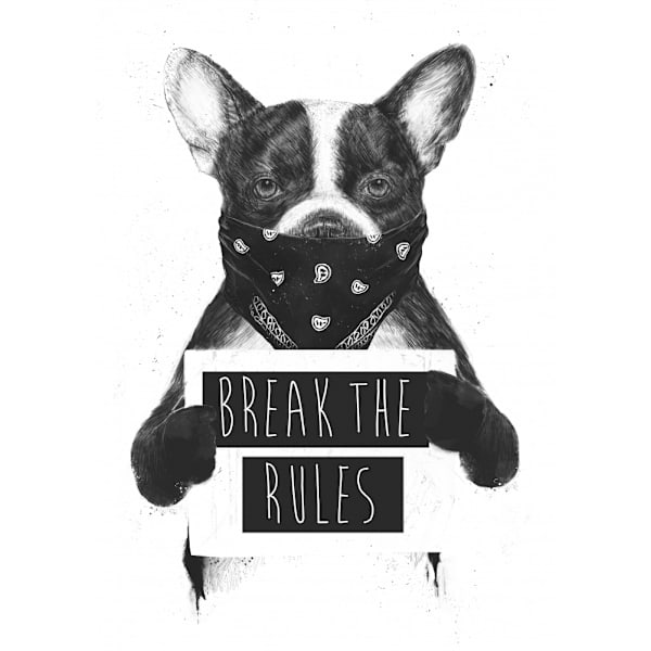 Rebel Dog MultiColor 70x100 cm