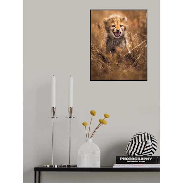 Big Smile MultiColor 70x100 cm