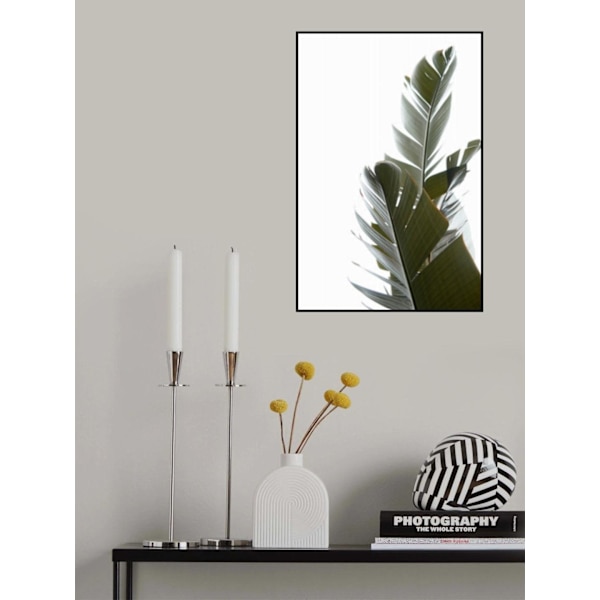 Travellers Palm Leaves Photo 05 MultiColor 50x70 cm