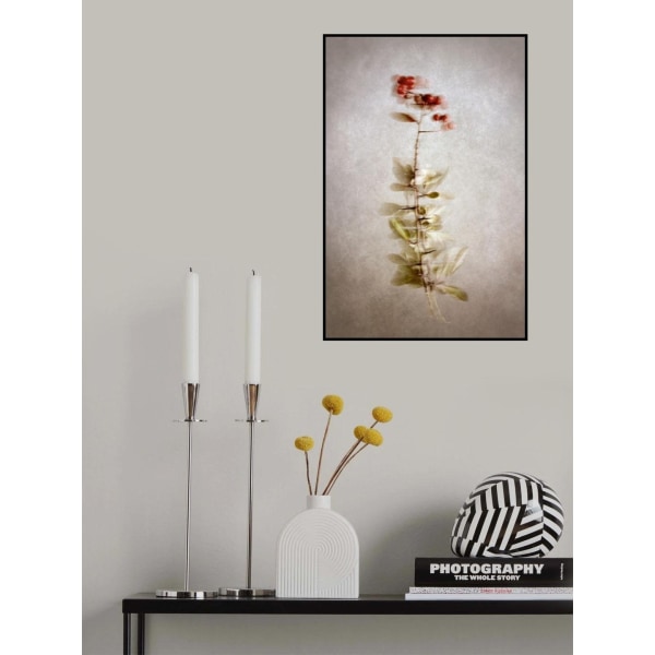 Exposed MultiColor 50x70 cm