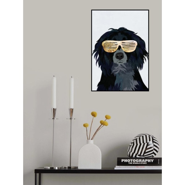 Hiphop Cockerspaniel MultiColor 70x100 cm