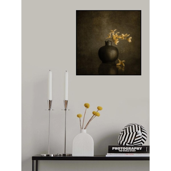 Calm Emotions MultiColor 70x100 cm