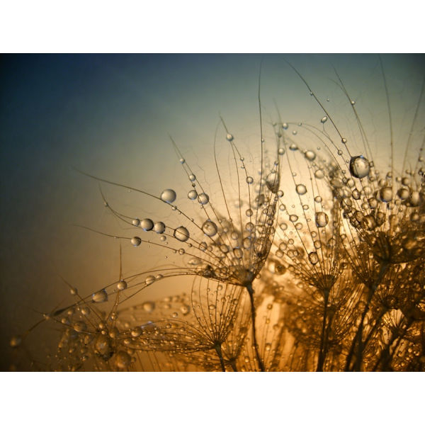 Tender Is The Night MultiColor 21x30 cm