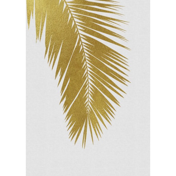 Palm Leaf Gold I MultiColor 70x100 cm