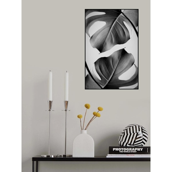 Monstera Monochrome MultiColor 30x40 cm
