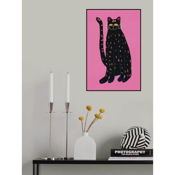 Black Cat MultiColor 70x100 cm