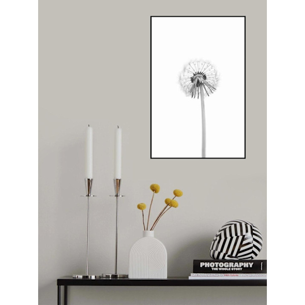 Dandelion MultiColor 30x40 cm