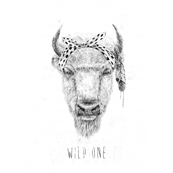 Wild One MultiColor 70x100 cm