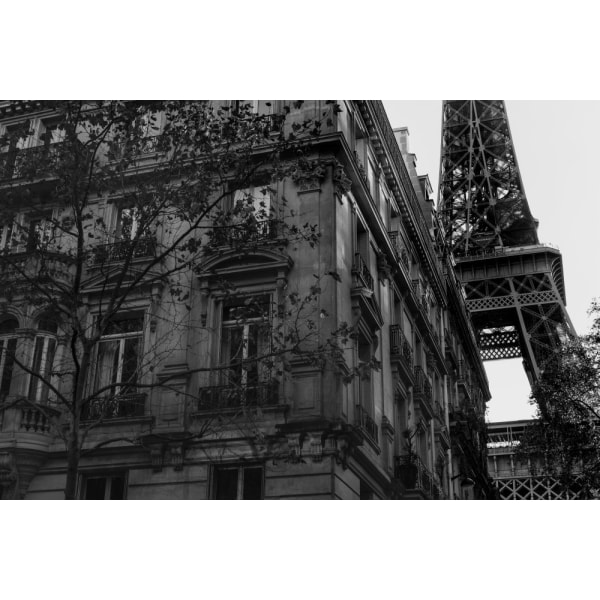 Eiffel Tower - Tour Eiffel MultiColor 50x70 cm