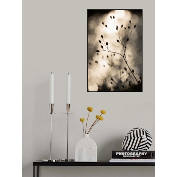 Sun Silhouettes 1 D88b2451 MultiColor 70x100 cm