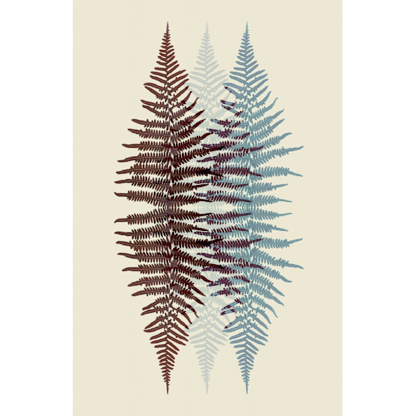 Chocolate And Teal Fern MultiColor 50x70 cm