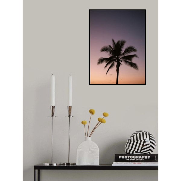 Costa Rica Palm Tree MultiColor 30x40 cm