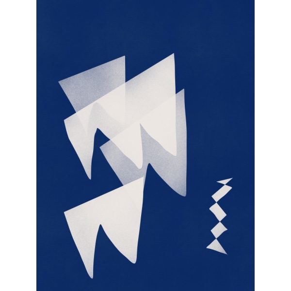Valkoinen lippu Minimalistinen MultiColor 70x100 cm