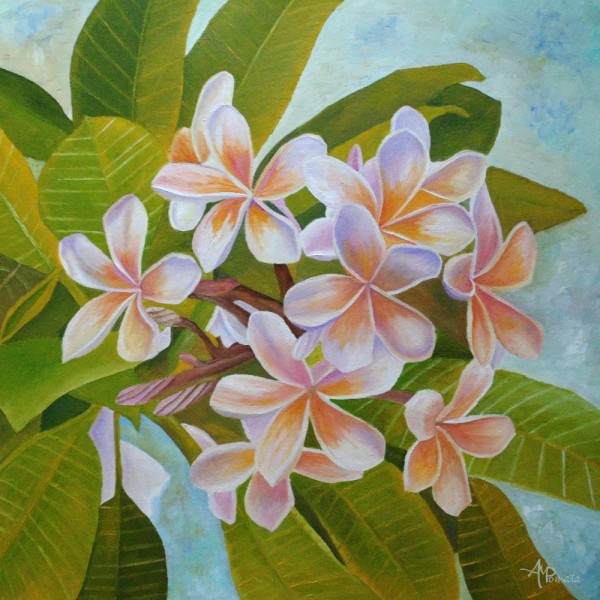 Plumeria MultiColor 50x70 cm