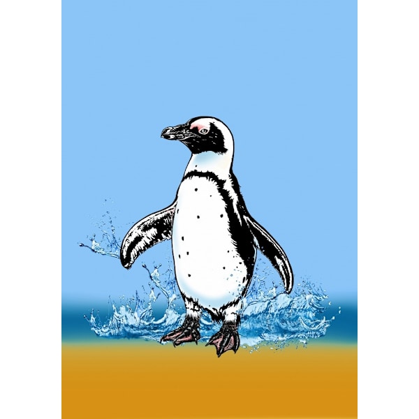 Cute Penguin Splashing MultiColor 21x30 cm