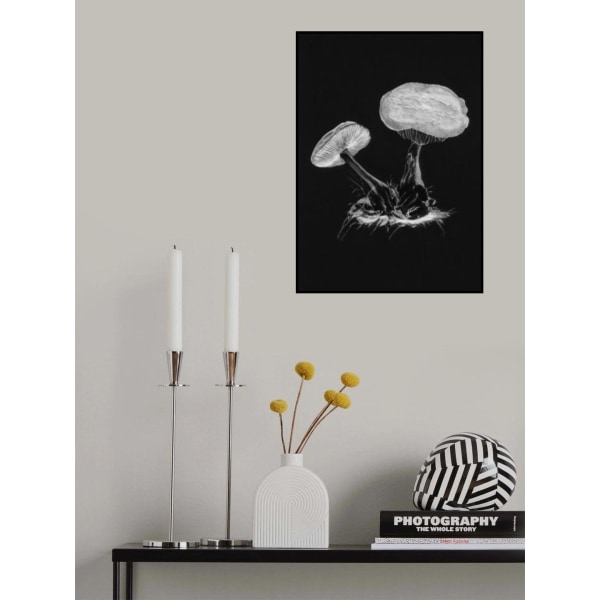 Vintage Violet Webcap Mushroom Dark Bw MultiColor 70x100 cm
