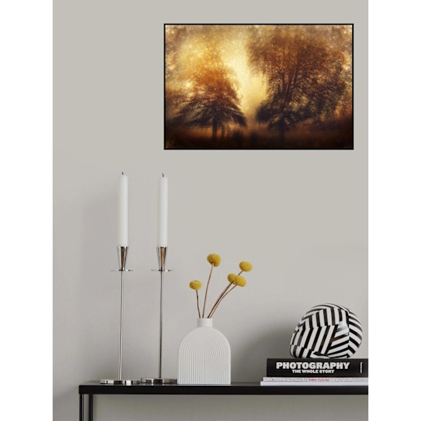 Poster MultiColor 50x70 cm