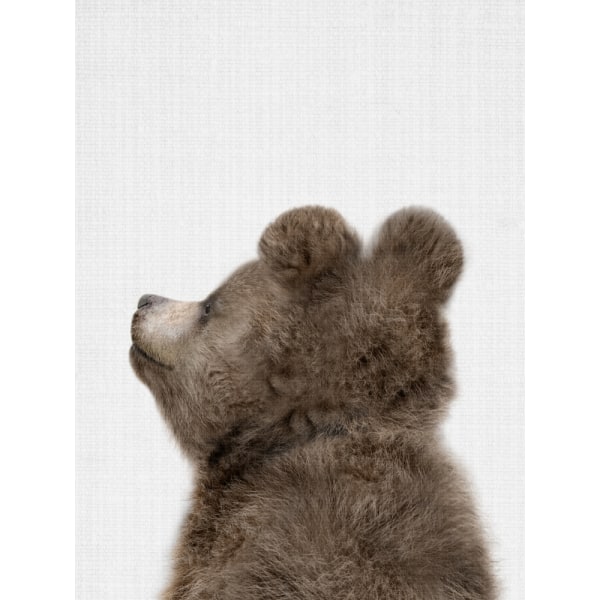 Peekaboo Baby Bear Back MultiColor 21x30 cm