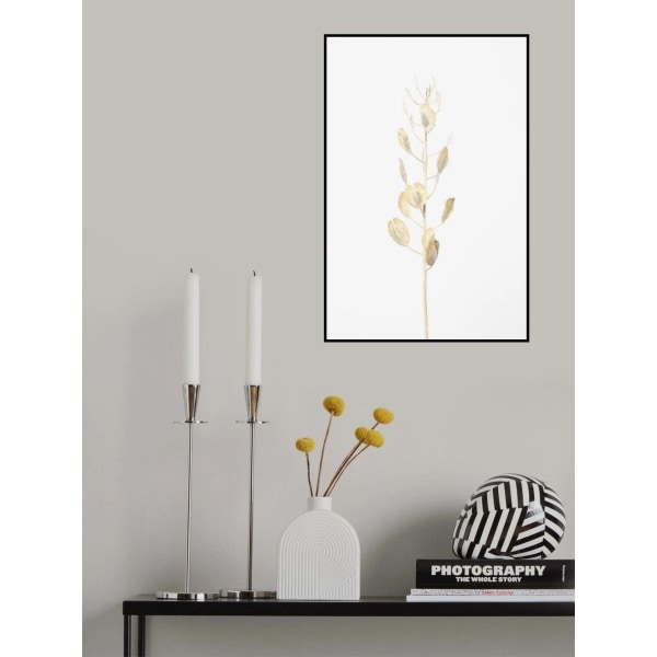 Solitary Dried Plant_Light Grey MultiColor 21x30 cm