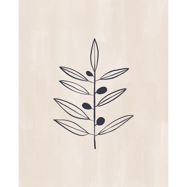 Olive Branche MultiColor 21x30 cm