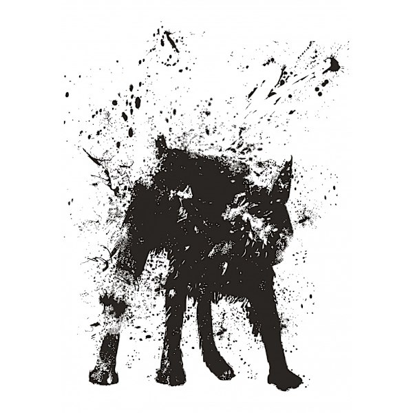 Wet Dog MultiColor 50x70 cm
