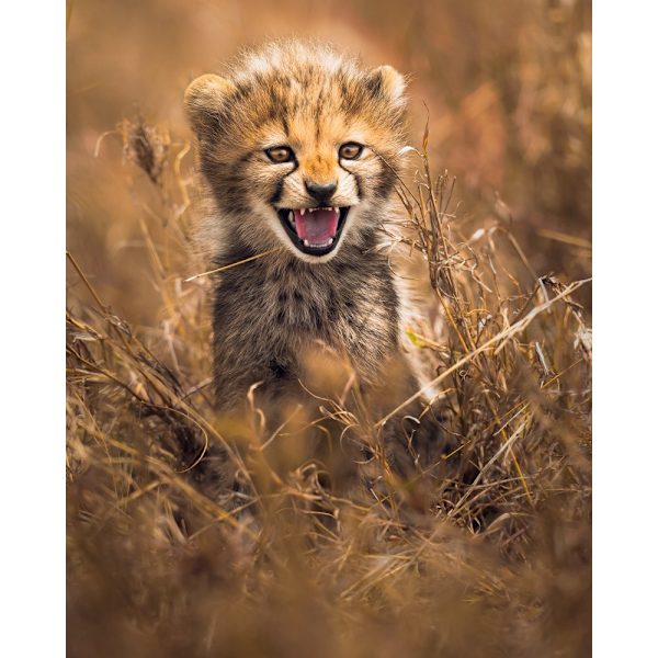 Big Smile MultiColor 70x100 cm