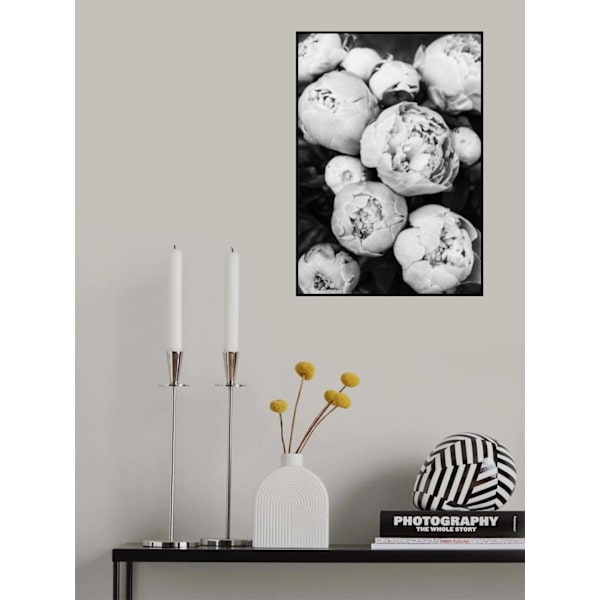 Peonies MultiColor 70x100 cm