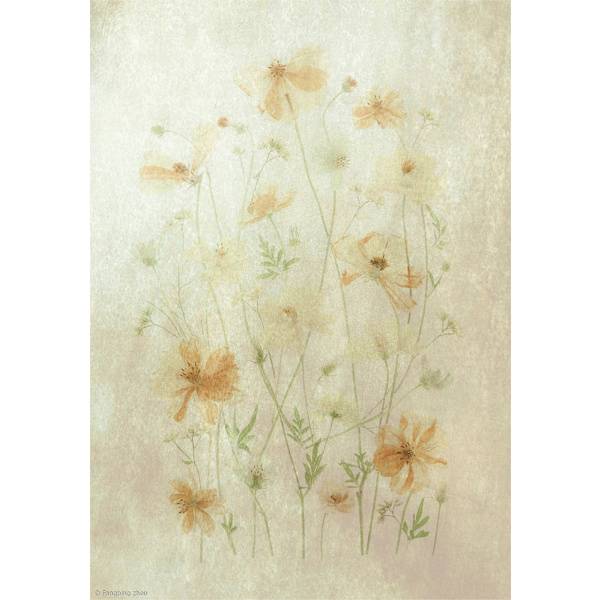 Yellow Cosmos MultiColor 21x30 cm