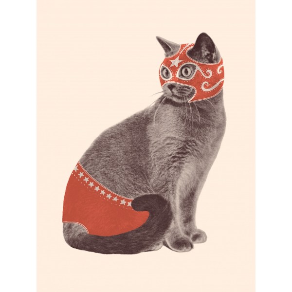 Chat Catcheur MultiColor 50x70 cm