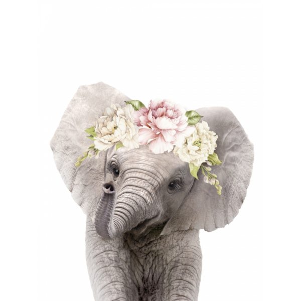 Floral Baby Elephant MultiColor 30x40 cm