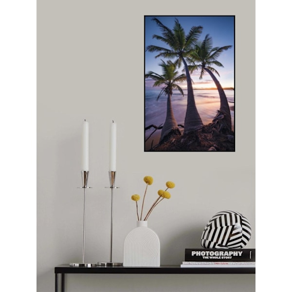 Palmy Twilight MultiColor 70x100 cm