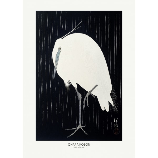 Egret In The Rain MultiColor 50x70 cm