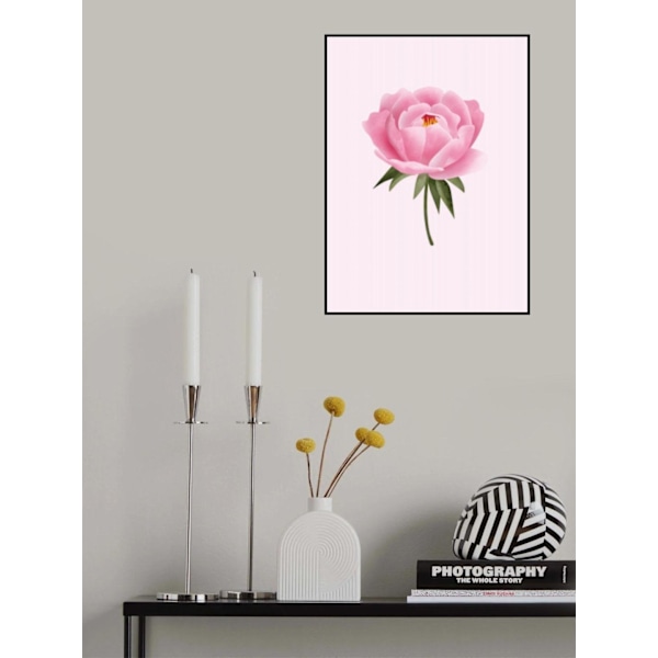 Peony Statement MultiColor 21x30 cm
