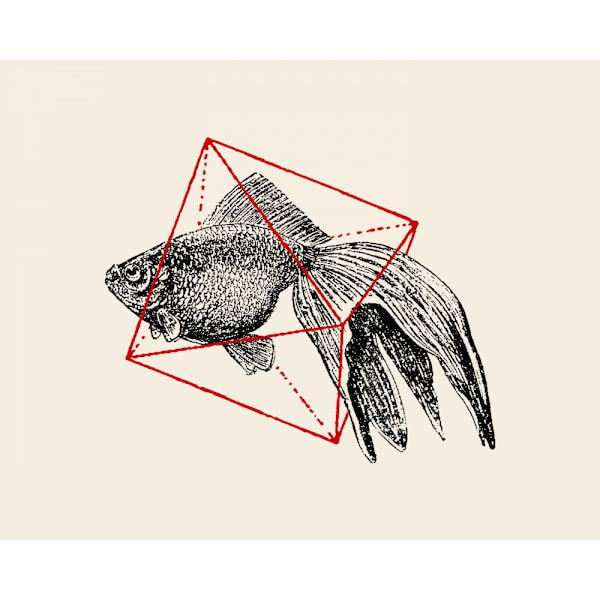 Fish In Geometrics No3 MultiColor 30x40 cm
