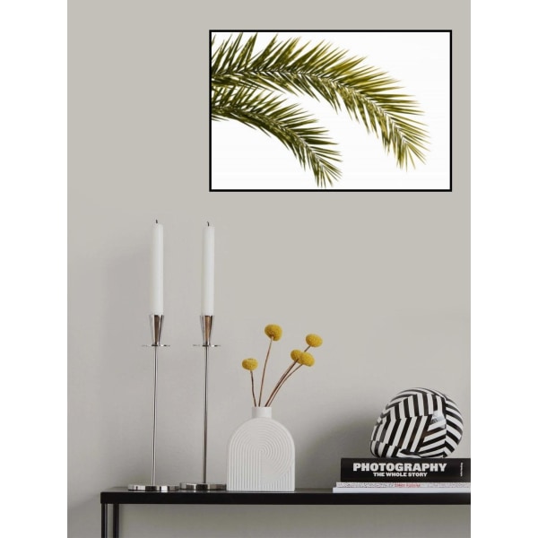 Coconut Tree Leaves Foliage Photo MultiColor 30x40 cm