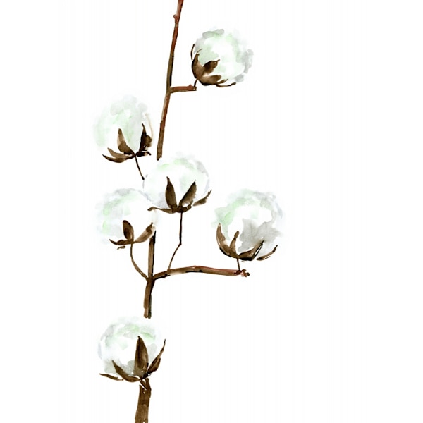 Watercolor Cotton Branch I MultiColor 70x100 cm