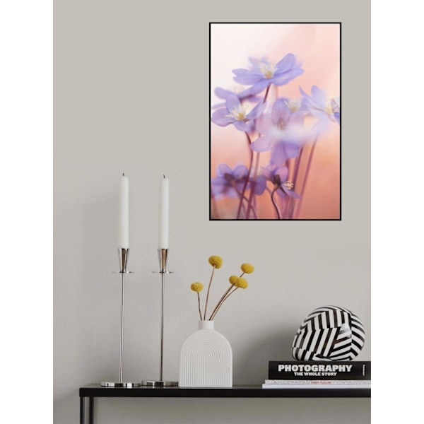 Spring Symphony MultiColor 21x30 cm
