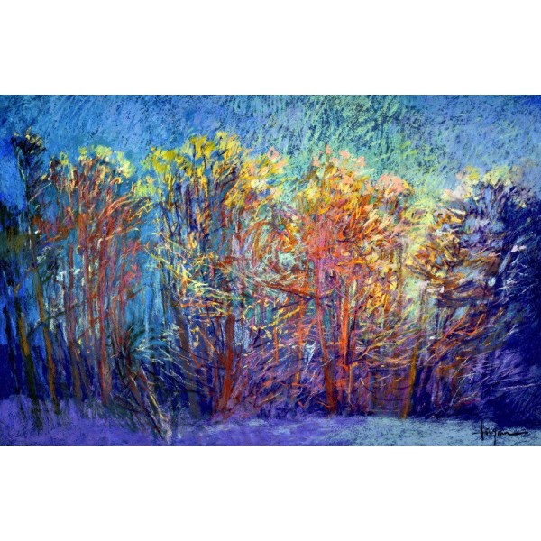 Df366sparklyin The Woods MultiColor 70x100 cm