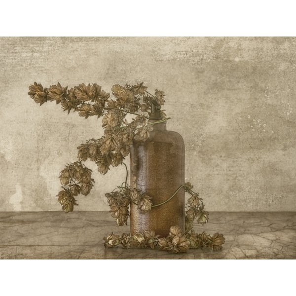 Common Hop 2 MultiColor 70x100 cm